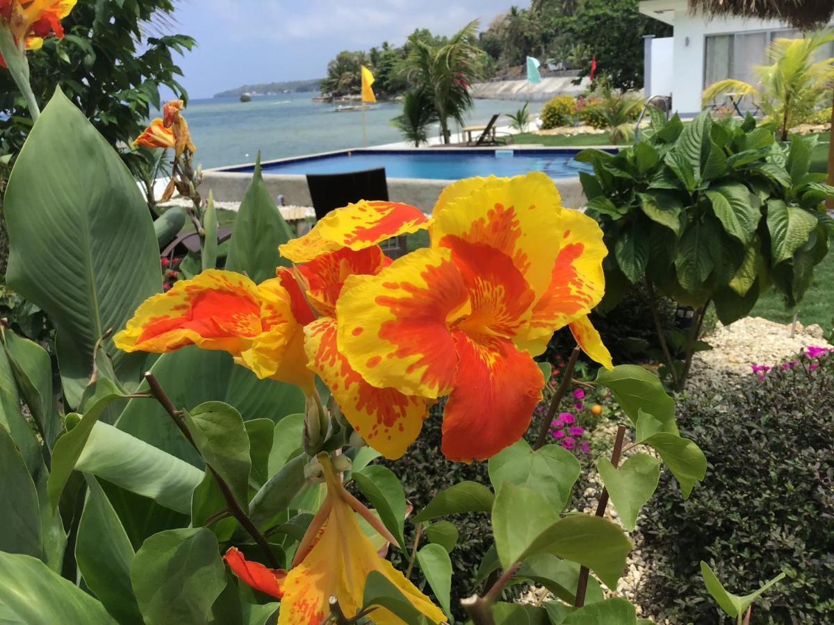 Bamboobeachvilla2 Ac New Oceanfront Pool Sunsetview Garden Kitchen Satellite Starlink Wi-Fi Dimiao Exterior photo